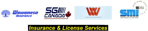 Insurance & License Services